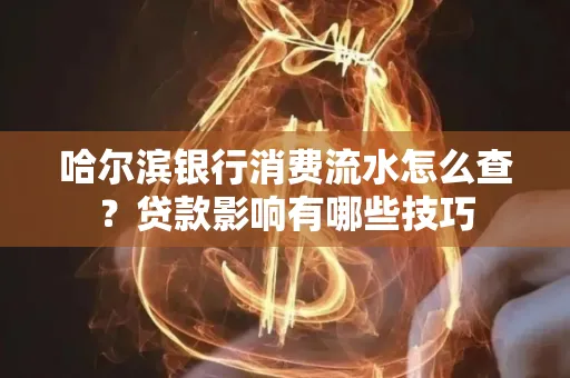 哈尔滨银行消费流水怎么查?贷款影响有哪些技巧